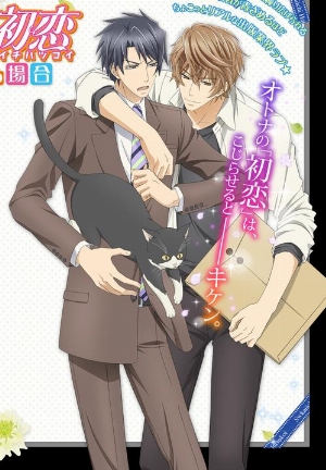 Sekaiichi Hatsukoi Movie: Yokozawa Takafumi no Baai